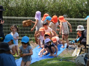 IMG_7553